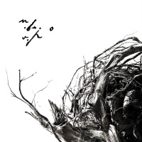 Ţara de dincolo de negură