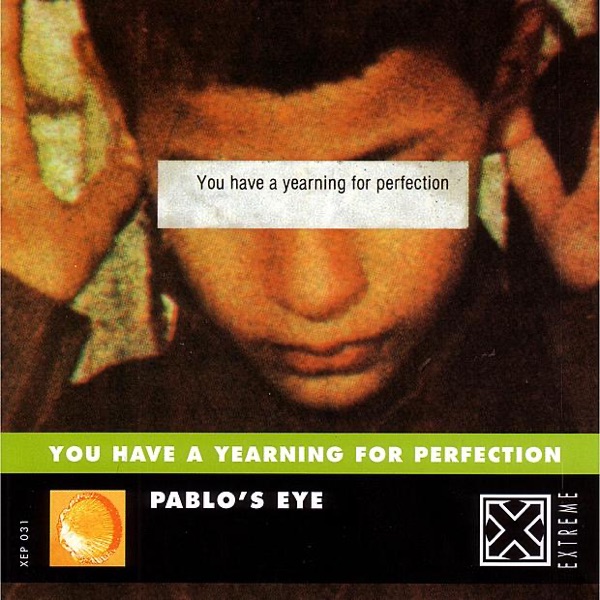 You Have a Yearning for Perfection artwork