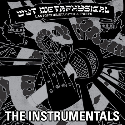 Last of the Metaphysical Poets - the Instrumentals