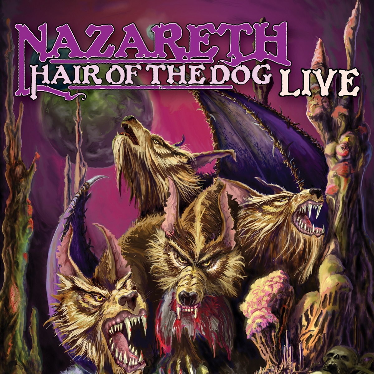 Hair of the Dog - Live cover art