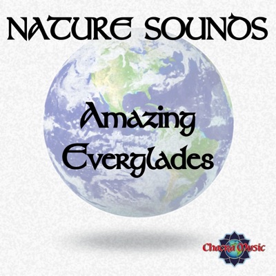 Amazing Everglades-thumbnail
