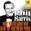Now You've Gone & Hurt My Southern Pride (1947)