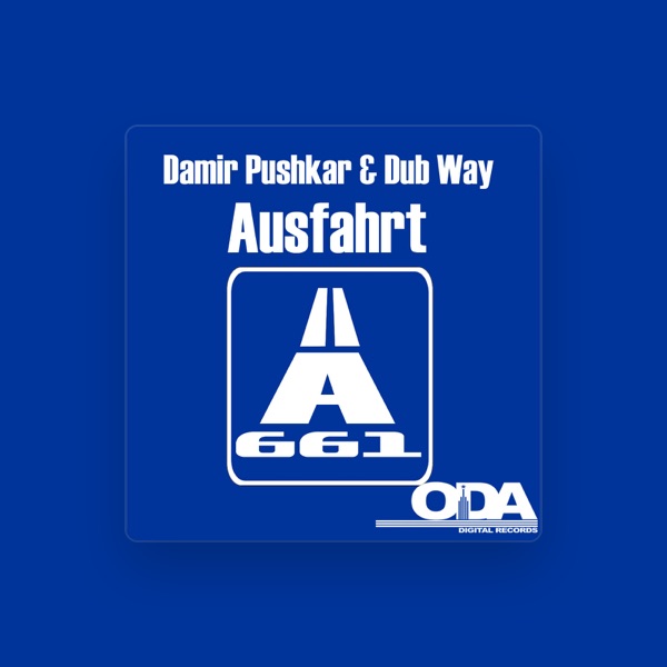 Damir Pushkar's avatar