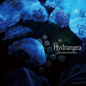 Cover art for Hydrangea - EP by a crowd of rebellion