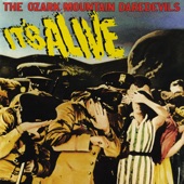 The Ozark Mountain Daredevils - If You Wanna Get To Heaven