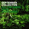 September Collective - Das Meer