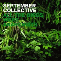 September Collective - Das Meer