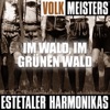 Volk Meisters: Im Wald, im grünen Wald