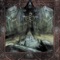 A Shield With an Iron Face artwork