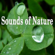 Comforting Rain At Night - Sounds of Nature
