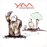 Assumptions - yam