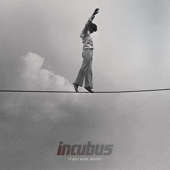 Cover art for If Not Now, When? by Incubus