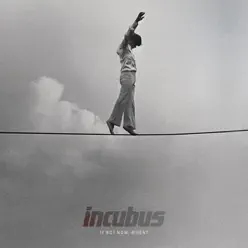 If Not Now, When? - Incubus