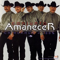 Chihuahua = 100% - Conjunto Amanecer