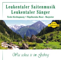 Leukentaler Saitenmusik - Da Stieglhupfer