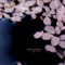 Love Never Dies a Natural Death - Robin Guthrie lyrics