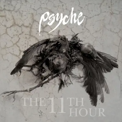 The 11Th Hour - Psyche