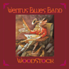 Wind In My Hair - Wentus Blues Band