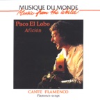 El Volcan