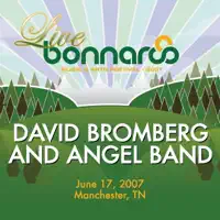 Drivin' Wheel — David Bromberg