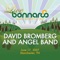 Drivin' Wheel - David Bromberg with Angel Band lyrics