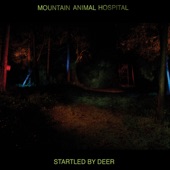 Mountain Animal Hospital - Hey! a Trick Bike