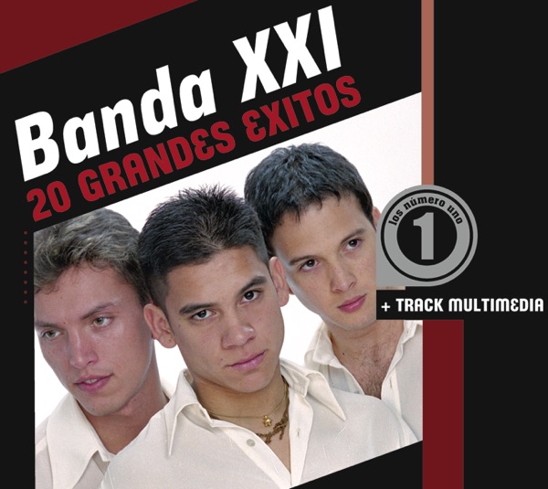 20 Grandes Exitos artwork