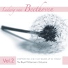 A Midsummers Night's Dream, Op. 61: IV. Intermezzo