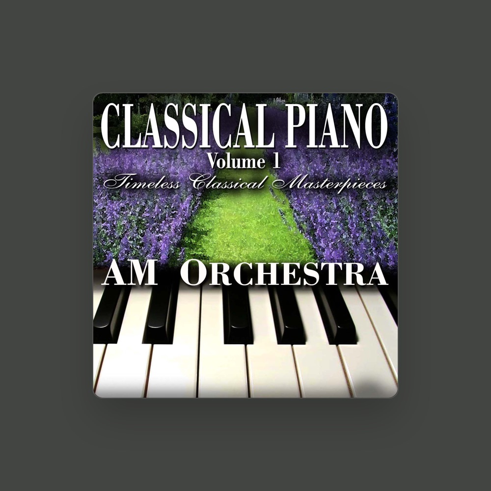 Фото AM Orchestra
