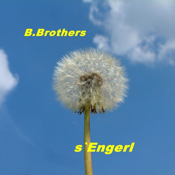 S`Engerl