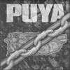 Puya, 2009