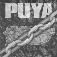 Siguelo Pa Lla — Puya