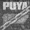 Puya - Contamination