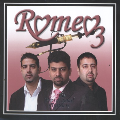 DJ Chino, Sanjay Sawant & The Professional Brothers