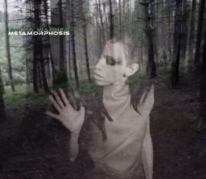 Metamorphosis - Single