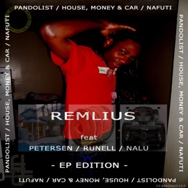 House, Money & Car [feat. Nalu] Remlius