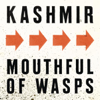 Kashmir - Mouthful of Wasps artwork