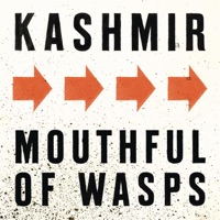 Kashmir - Mouthful of Wasps