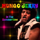In The Summertime (Re-Recorded / Remastered) artwork