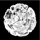 Continental Drift - EP