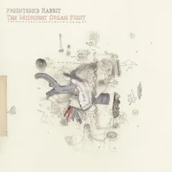 The Midnight Organ Fight - Frightened Rabbit