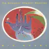The Screamin' Cheetah Wheelies - Right Place, Wrong Time