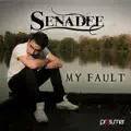 My Fault