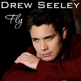 Fly Drew Seeley