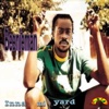 Inna Mi Yard - Single, 2011