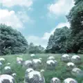 Zero