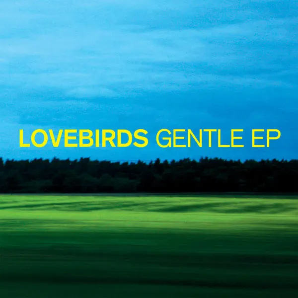 Tuesday — Lovebirds