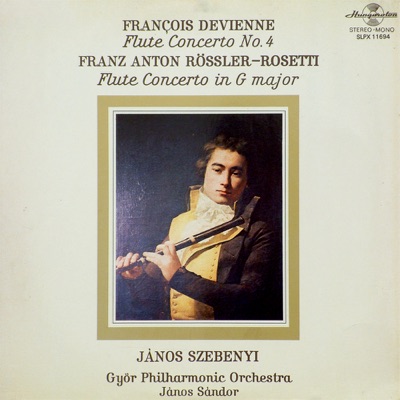 Flute Concertos