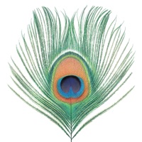 Apple Venus, Vol. 1 - XTC