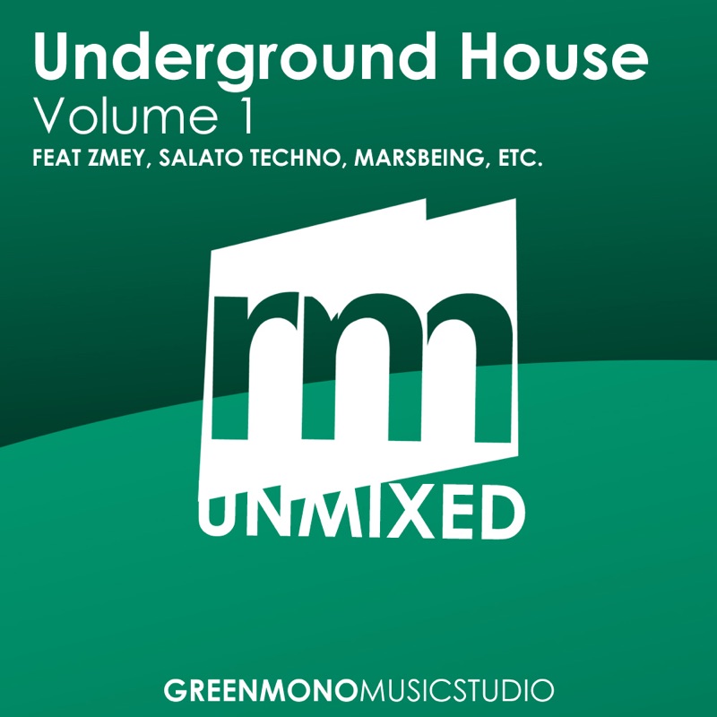 Underground House